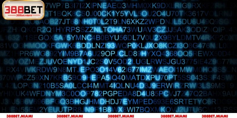 Mã hóa dữ liệu SSL 256-bit chống rò rỉ